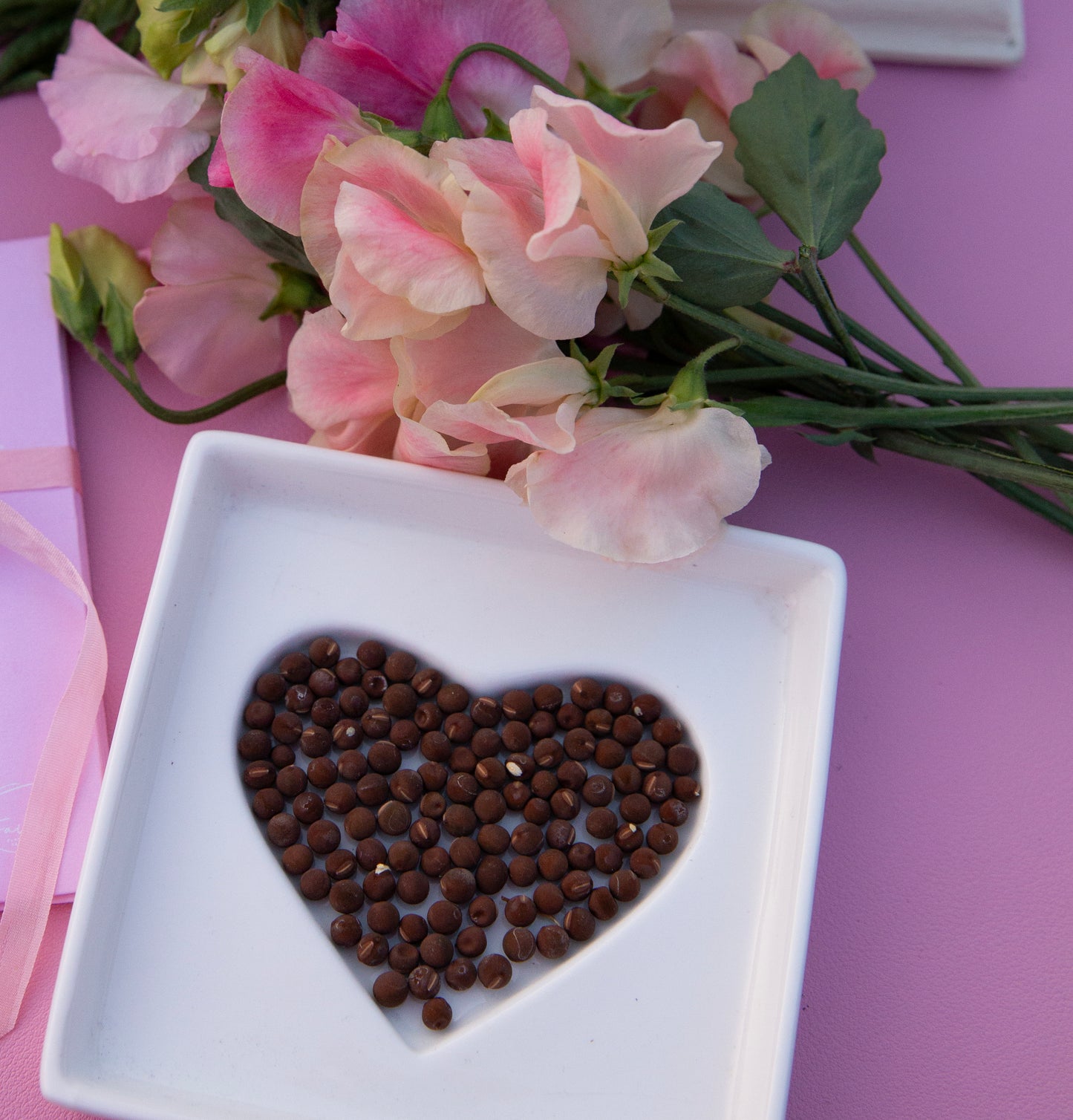 Seed Saving Workshop Saturday October 4th 10am