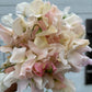 Sweet Pea | Ballerina Blush Mix