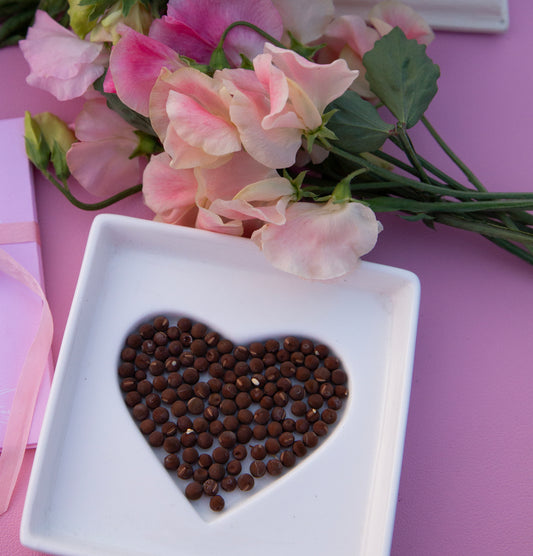 Seed Saving Workshop Saturday October 4th 10am