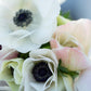 Growing Ranunculus & Anemone Workshop | Saturday April 11th 10am