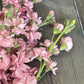 Signature & Premium Cut Flower Packs