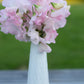 Sweet Pea | Spring Sunshine Blush
