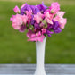 Sweet Pea | Fraiche Unicorn Mix